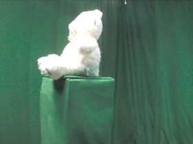 225 Degrees _ Picture 9 _ White Teddy Bear Wearing Gold Ribbon.png